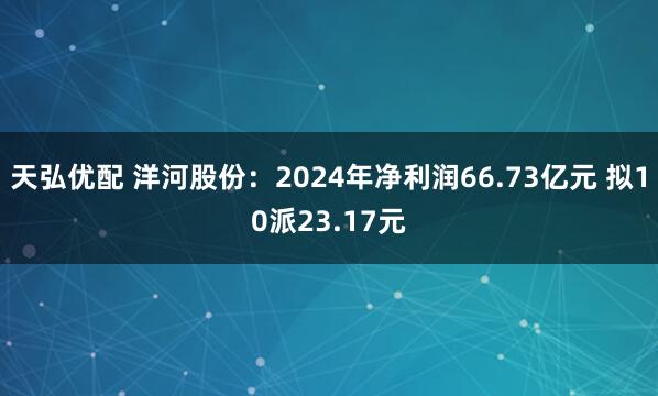 天弘优配 洋河股份：2024年净利润66.73亿元 拟10派23.17元