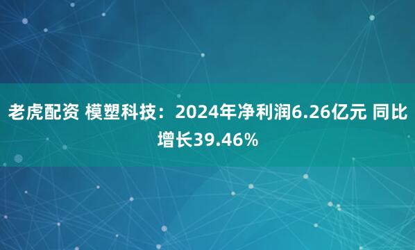 老虎配资 模塑科技：2024年净利润6.26亿元 同比增长39.46%