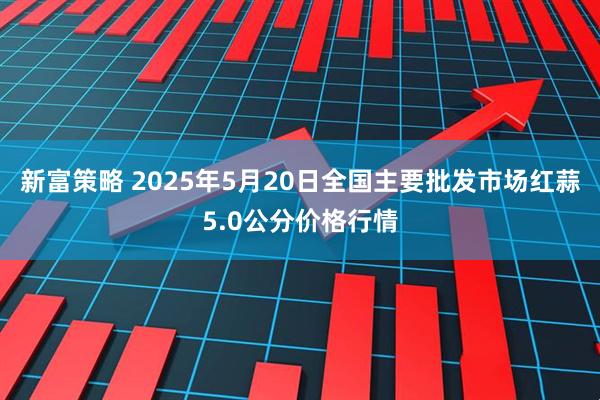 新富策略 2025年5月20日全国主要批发市场红蒜5.0公分价格行情