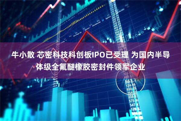牛小散 芯密科技科创板IPO已受理 为国内半导体级全氟醚橡胶密封件领军企业