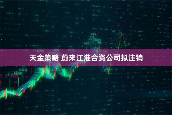 天金策略 蔚来江淮合资公司拟注销