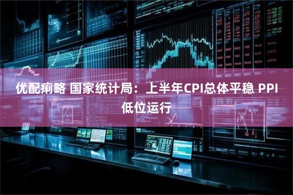 优配痢略 国家统计局：上半年CPI总体平稳 PPI低位运行