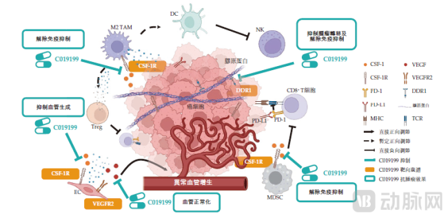 图3.C019199作用机制（资料来源：公司招股书）